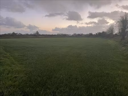 vente terrain 4000 m² à plouhinec (29780)  265 000 €