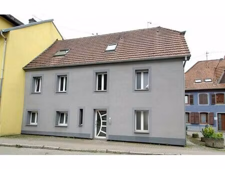 immeuble la broque m² t-8 à vendre  225 000 €