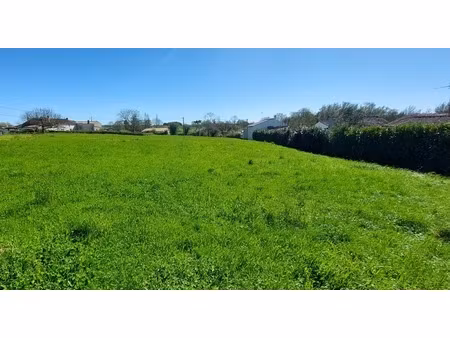 en vente terrain constructible 17 ares – 56 000 € |saint-michel-le-cloucq