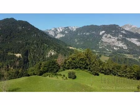 neuf - magnifique appartement dans un chalet