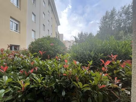 location appartement 2 pièces 39 m² à bastia (20200)