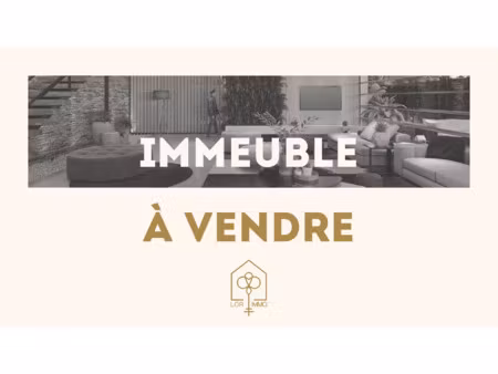 achat immeuble 86m² piennes 54490