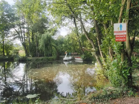 vente maison 7 pièces 130 m² à torigni-sur-vire (50160)  345 000 €