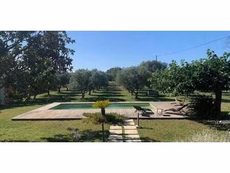 maison avec piscine et terrasse saint-rémy-de-provence (13)