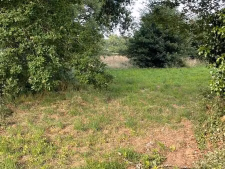 vente terrain 1350 m² saint-junien (87200)