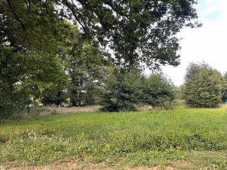 vente terrain 1300 m² saint-junien (87200)
