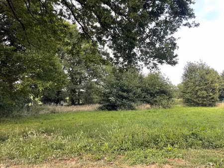 vente terrain 1300 m² à saint-junien (87200)  34 000 €