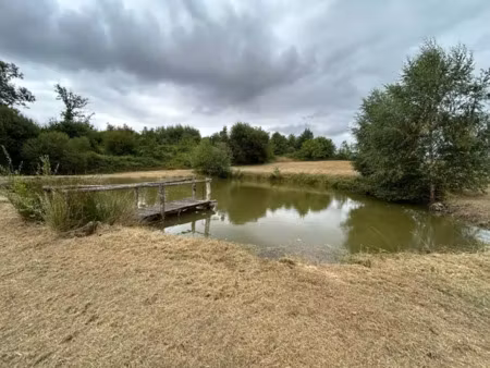 vente terrain 9376 m² à ségur-le-château (19230)  19 800 €