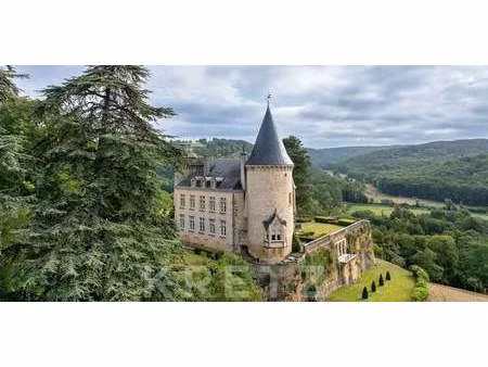 château fleurac (24)