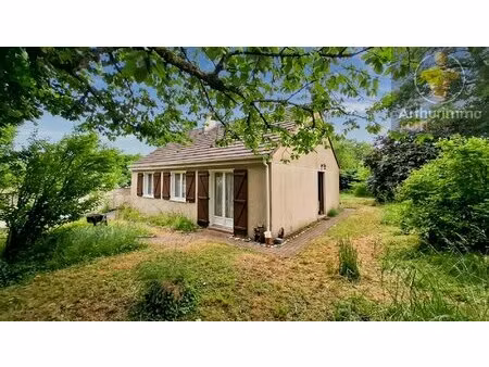 maison plain-pied à avaray (41) _ 4 pièces - 77 m2