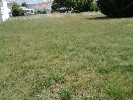 terrain plat viabilisé