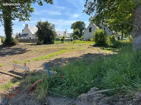 terrain constructible