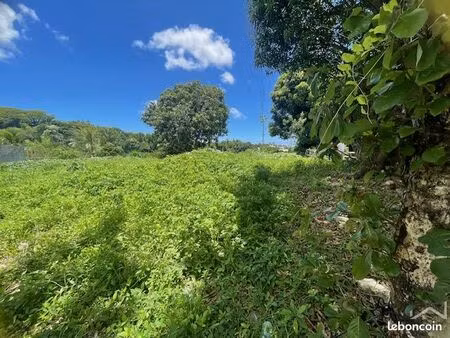 terrain 989 m² bras-panon