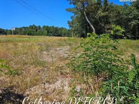 terrain 1 298 m² civrac de blaye