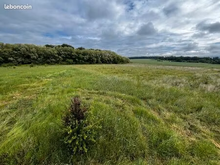 terrain agricole loisir pré chevaux animaux