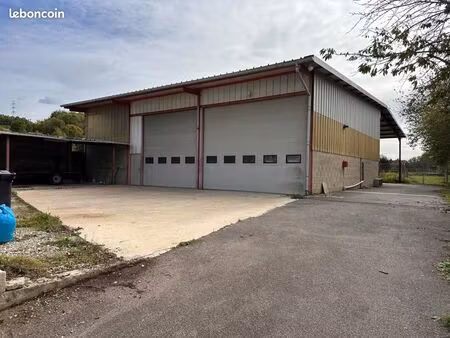 local d'activité 450 m²