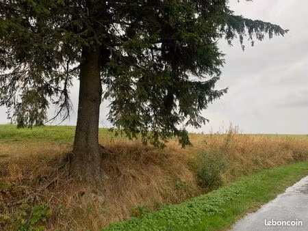 terrain dans zone artisanale