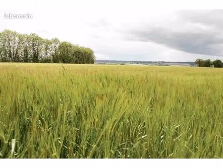 terrain 640000 m² sarzay