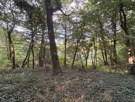 parcelles bois 37560 m2