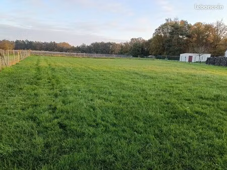 terrain constructible