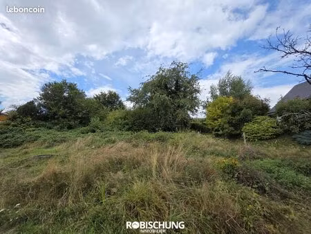 terrain 562 m² heimersdorf