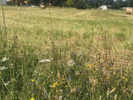 terrain 1850 m² saint-aigulin