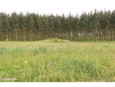 terrain 1 150 m² bats tursan