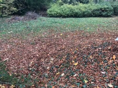 terrain 1017 m² médan