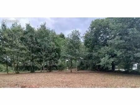 terrain constructible 1200 m2