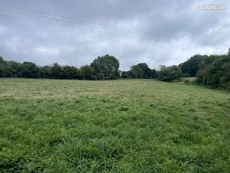 bien agricole 14500 m² champéon