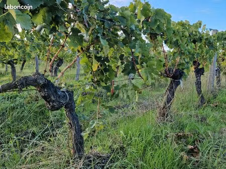 terrain 13737 m² pomerol