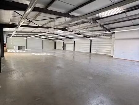 local 400 m² labruguière