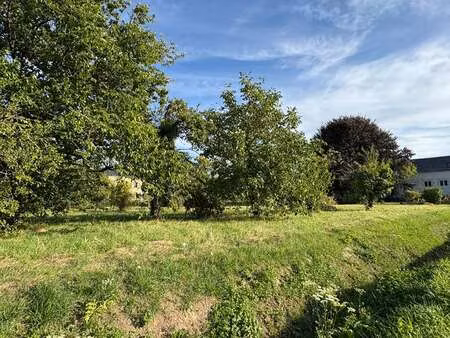vente terrain à gennes-val-de-loire (49350) : à vendre / 1954m² gennes-val-de-loire