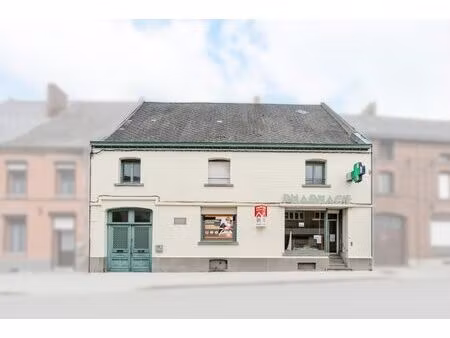 immeuble de rapport à fort potentiel proche de pairi daiza