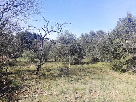 terrain piolenc à vendre