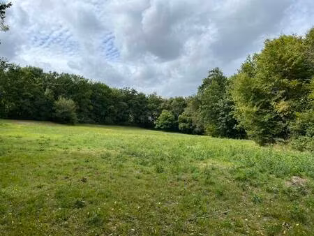 vente terrain 12198 m² saint-bonnet-la-rivière (19130)