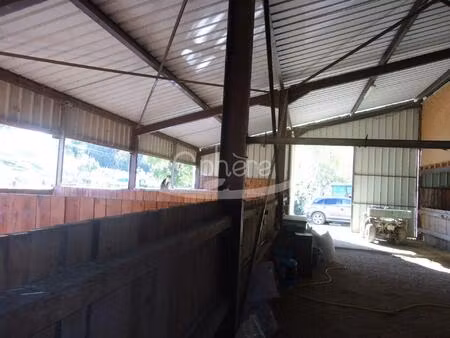 hangar agricole + appartement +1.10 ha