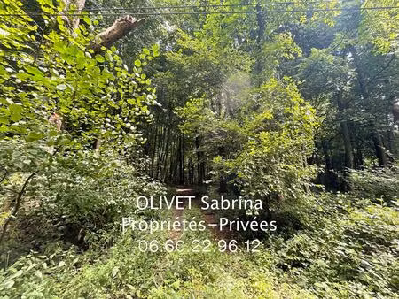 une parcelle boisée