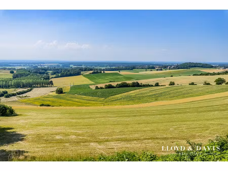 une authentique maison vigneronne
