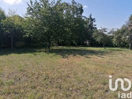 vente terrain à château-renault (37110) : à vendre / 1647m² château-renault