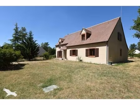 vente maison 5 pièces 262 m² soings-en-sologne (41230)