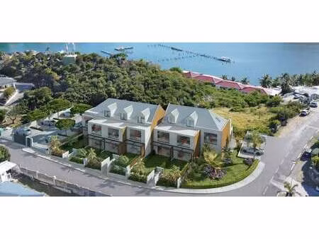 appartement avec terrasse et piscine saint-martin (971)