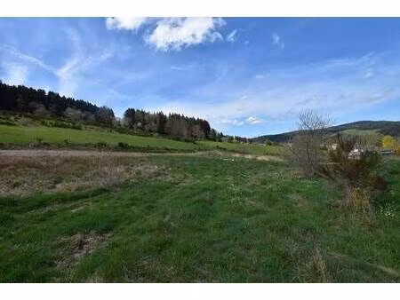 terrain constructible viabilisé à vendre