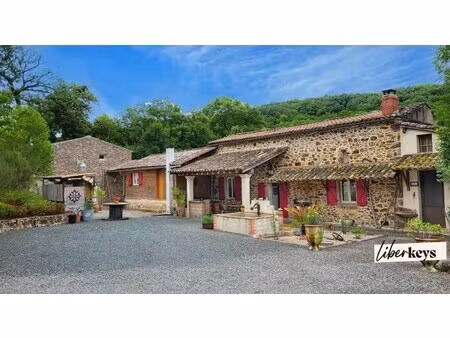 propriété à vendre à saint-martin-laguépie