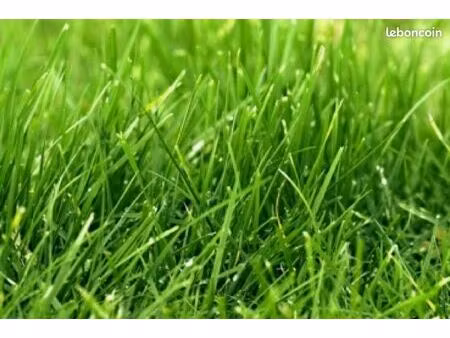 terrain 6 500 m² fontenilles