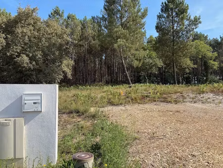 vente terrain 721 m² à saint-martin-d'oney (40090)  59 368 €