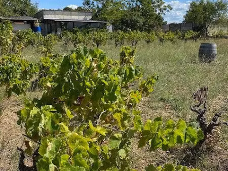 vente terrain 692 m² à aspiran (34800)  130 000 €