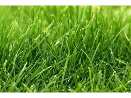 terrain de 6500 m² m²