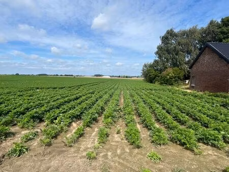 terrain à vendre à jurbise (lot 2)