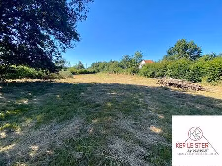 vente terrain à guer (56380) : à vendre / 1196m² guer